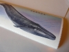 p1110630