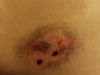 27