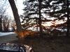 dscn0032