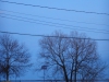 dscn0044