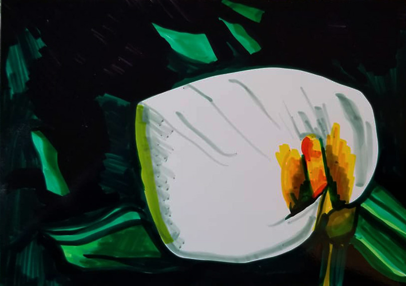 08