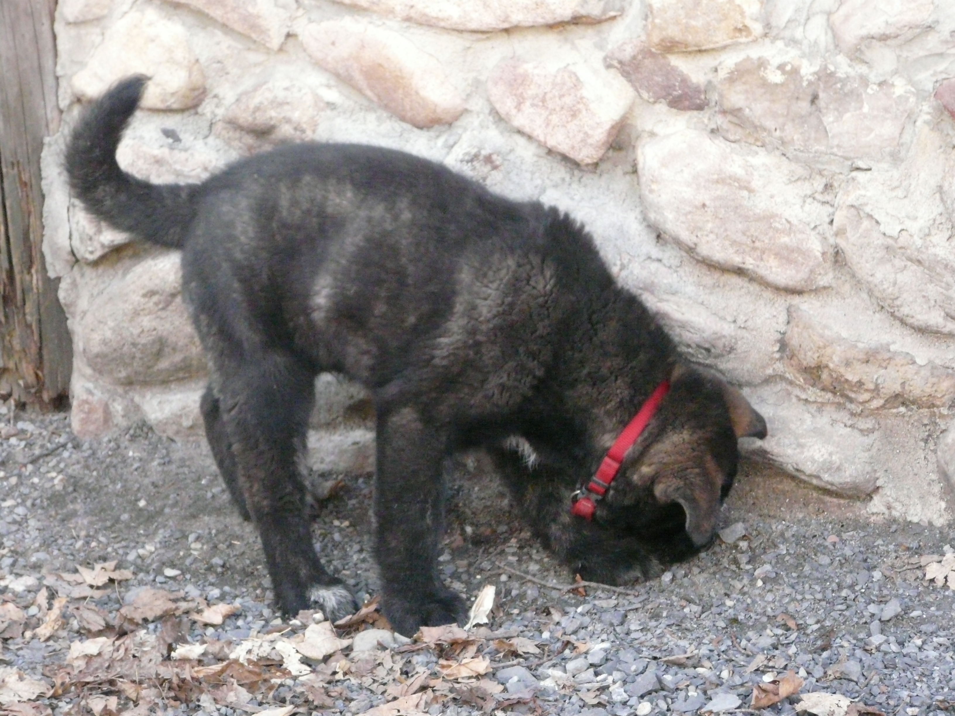 P1120086