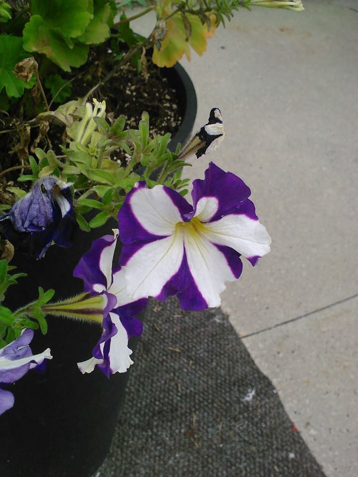 06
