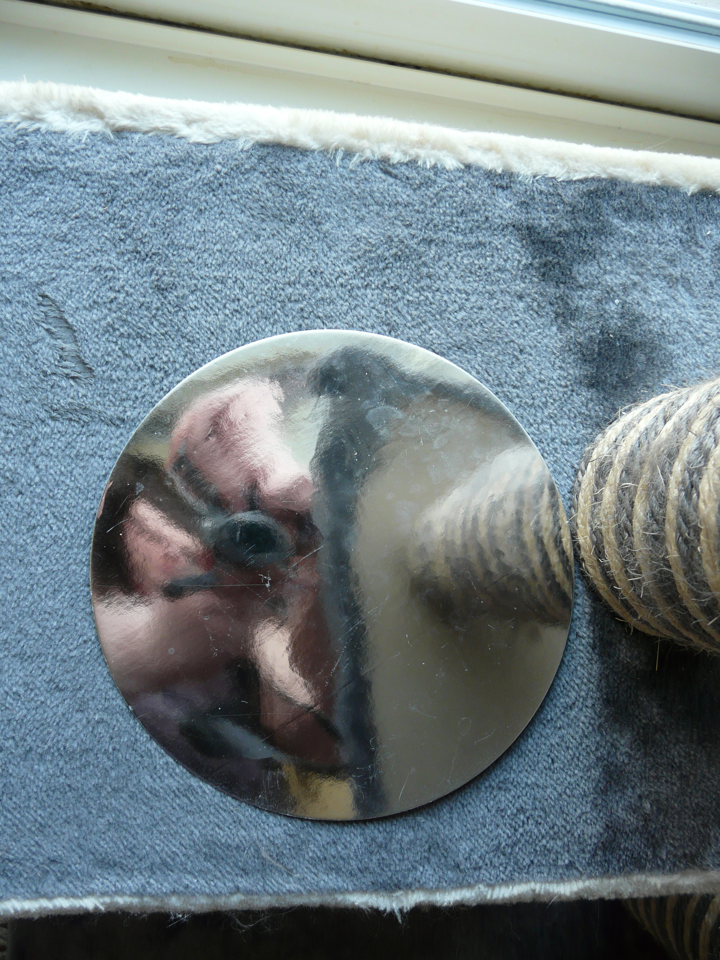 P1160822