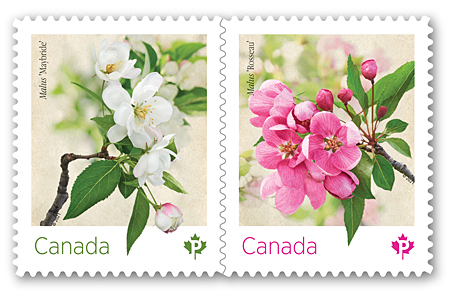 crabapple-blossoms-stamps-200p
