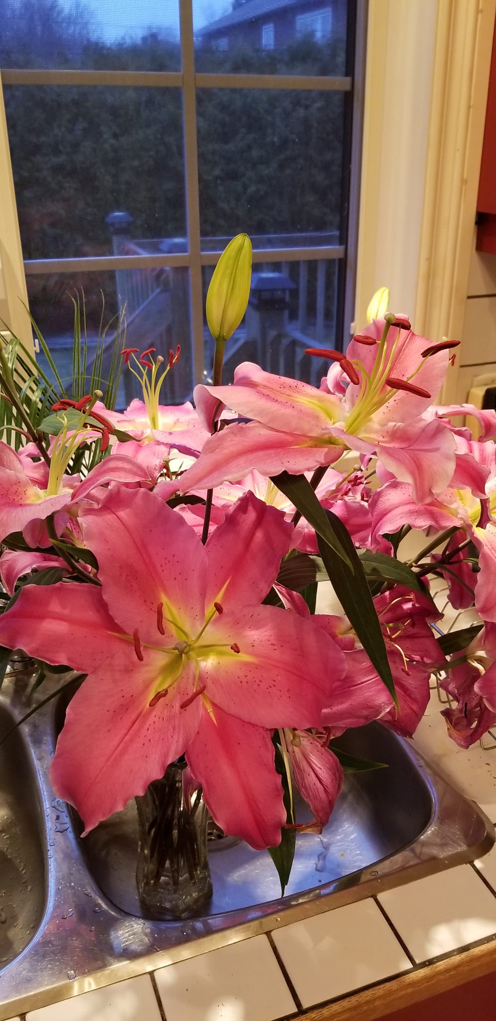 04