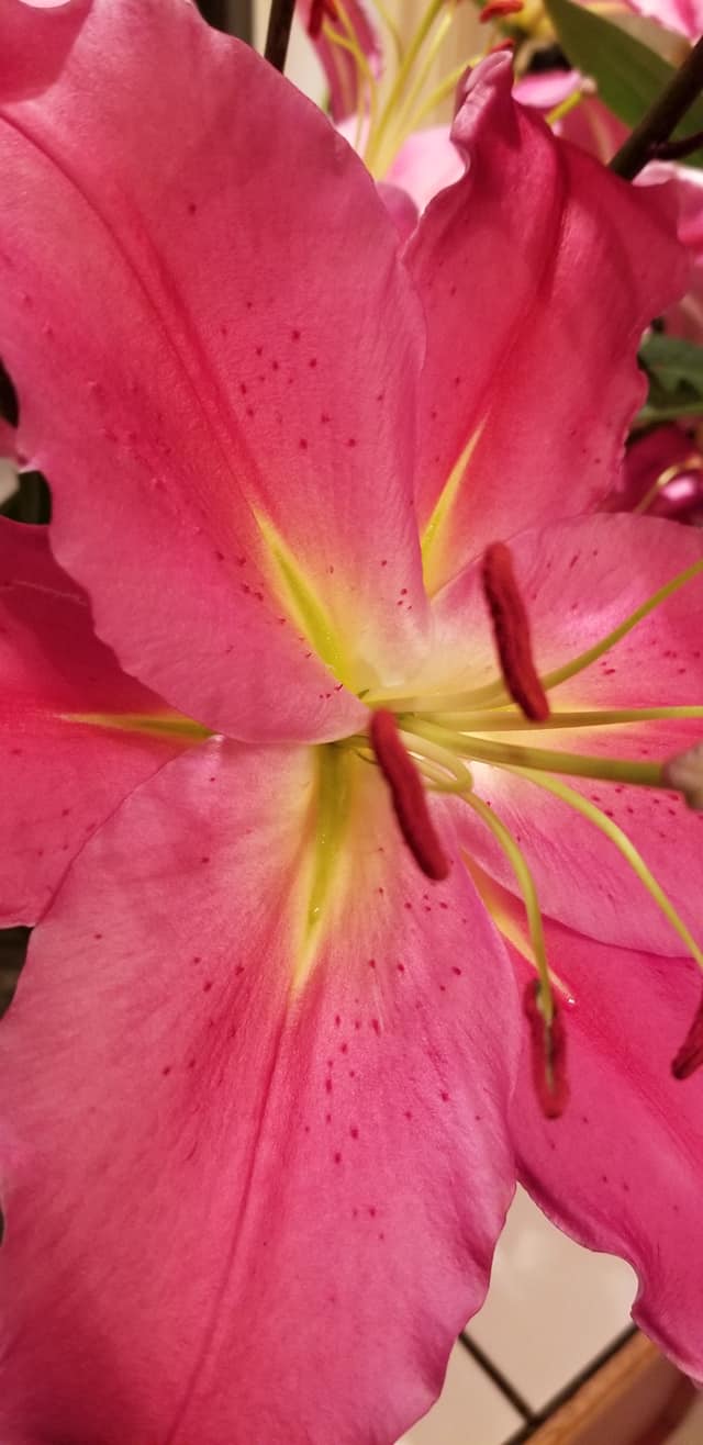 07
