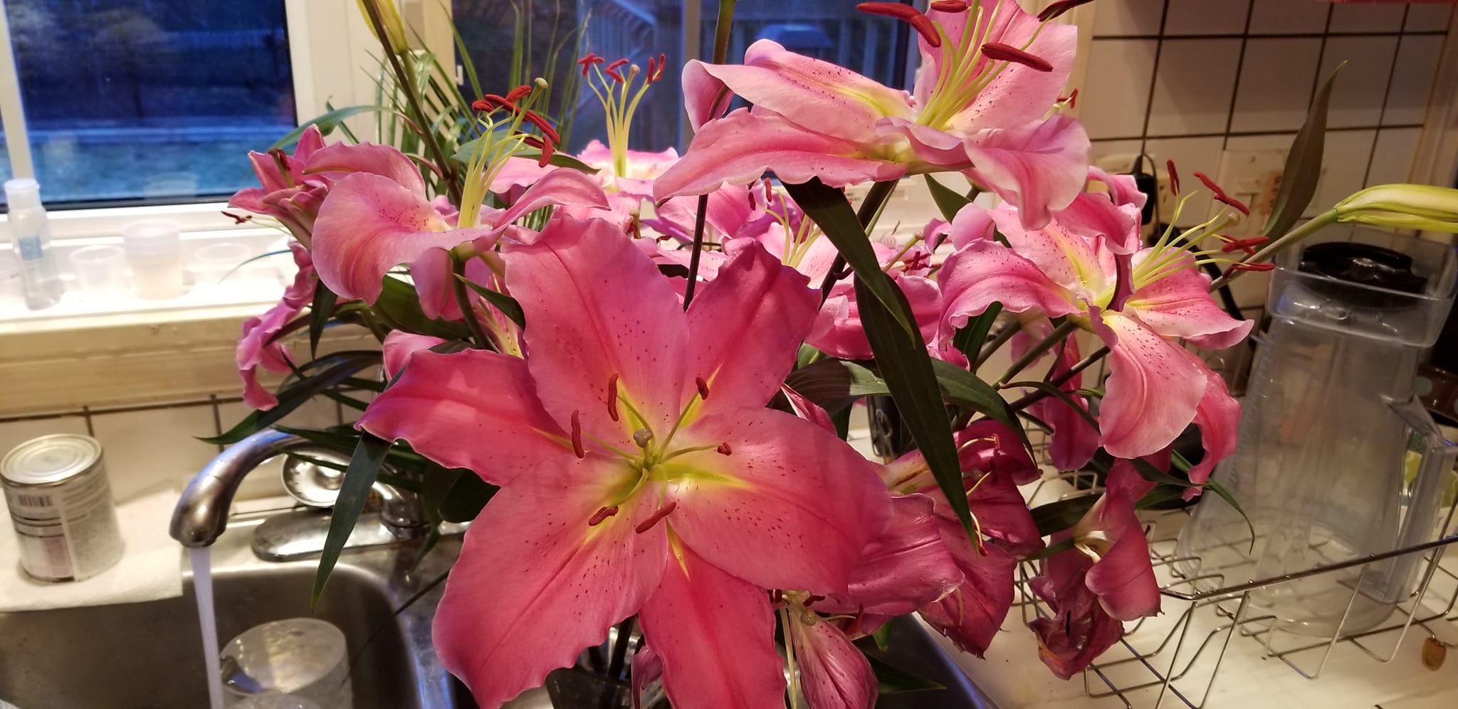 08