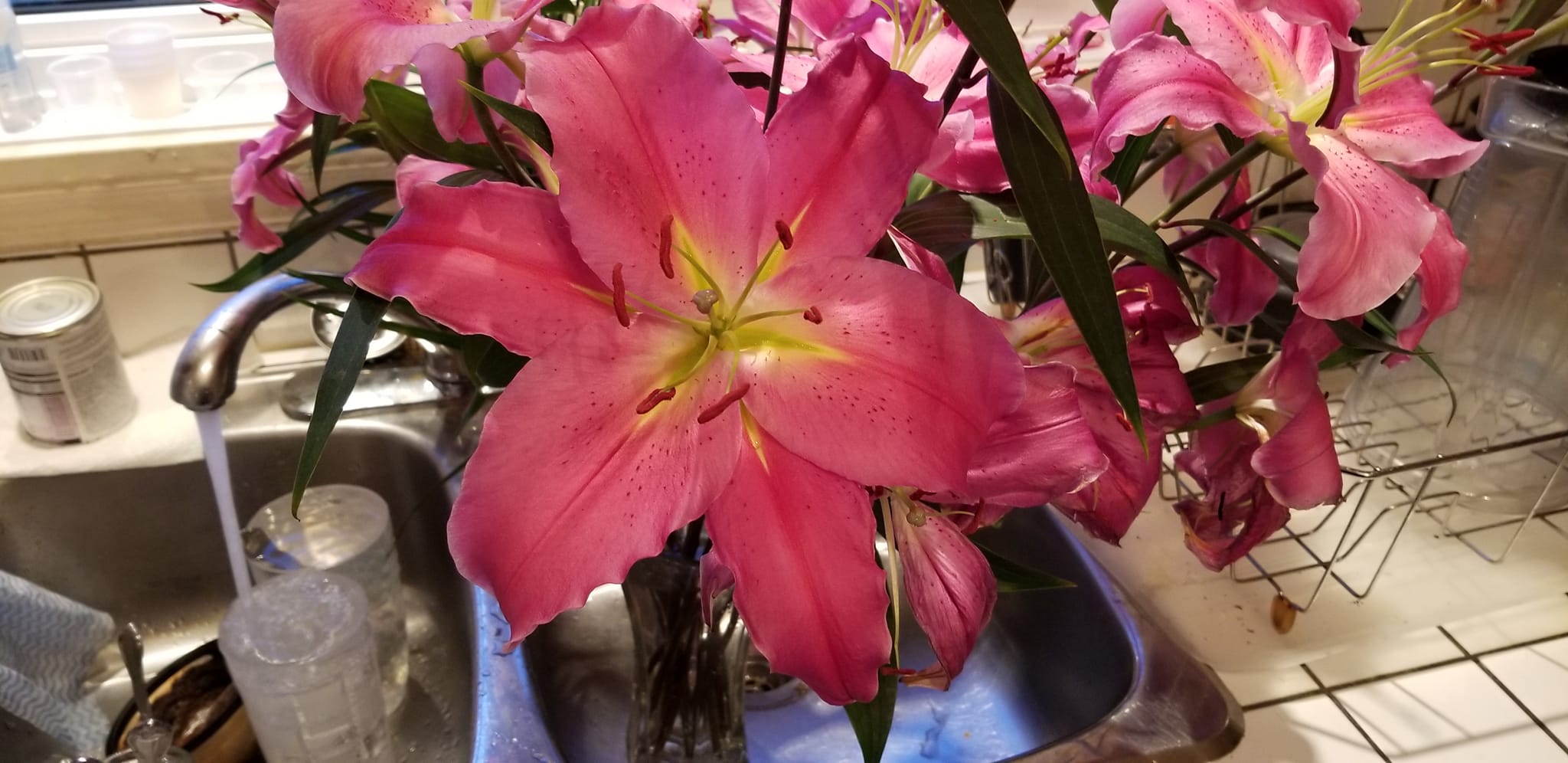 09