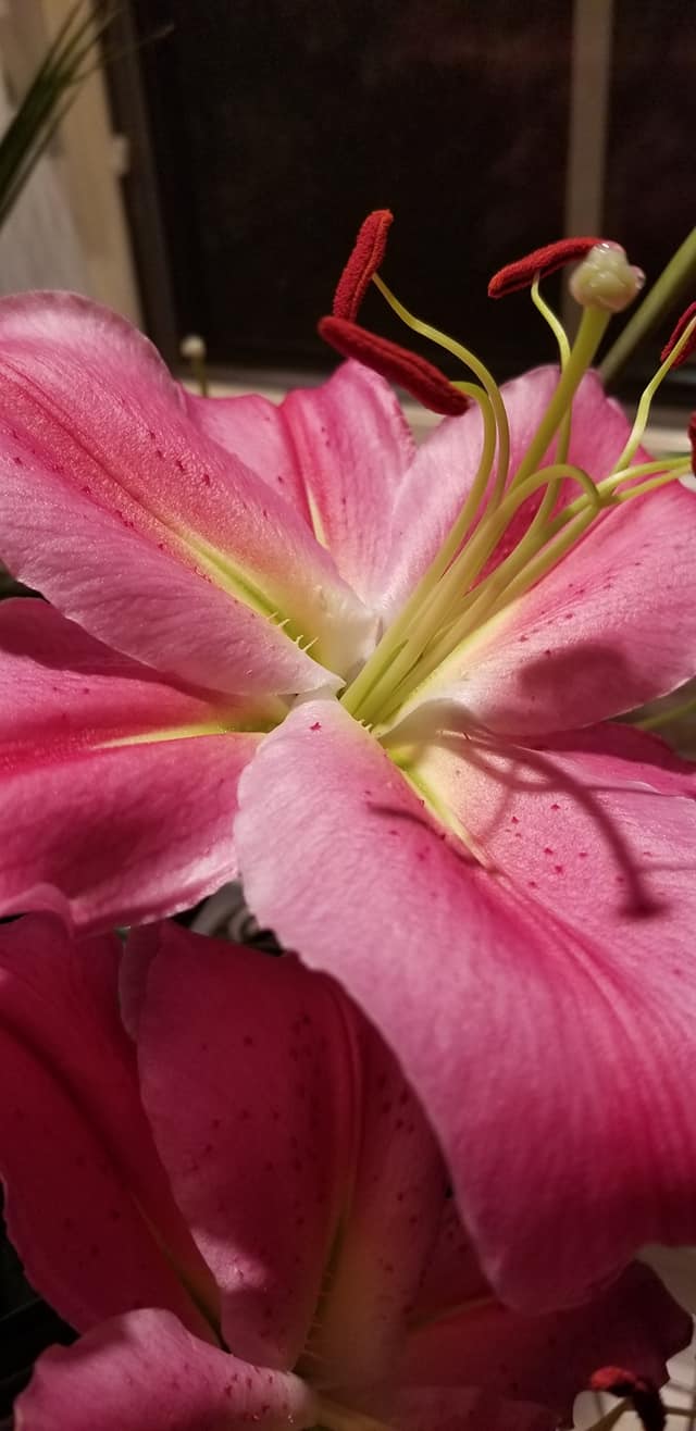 19