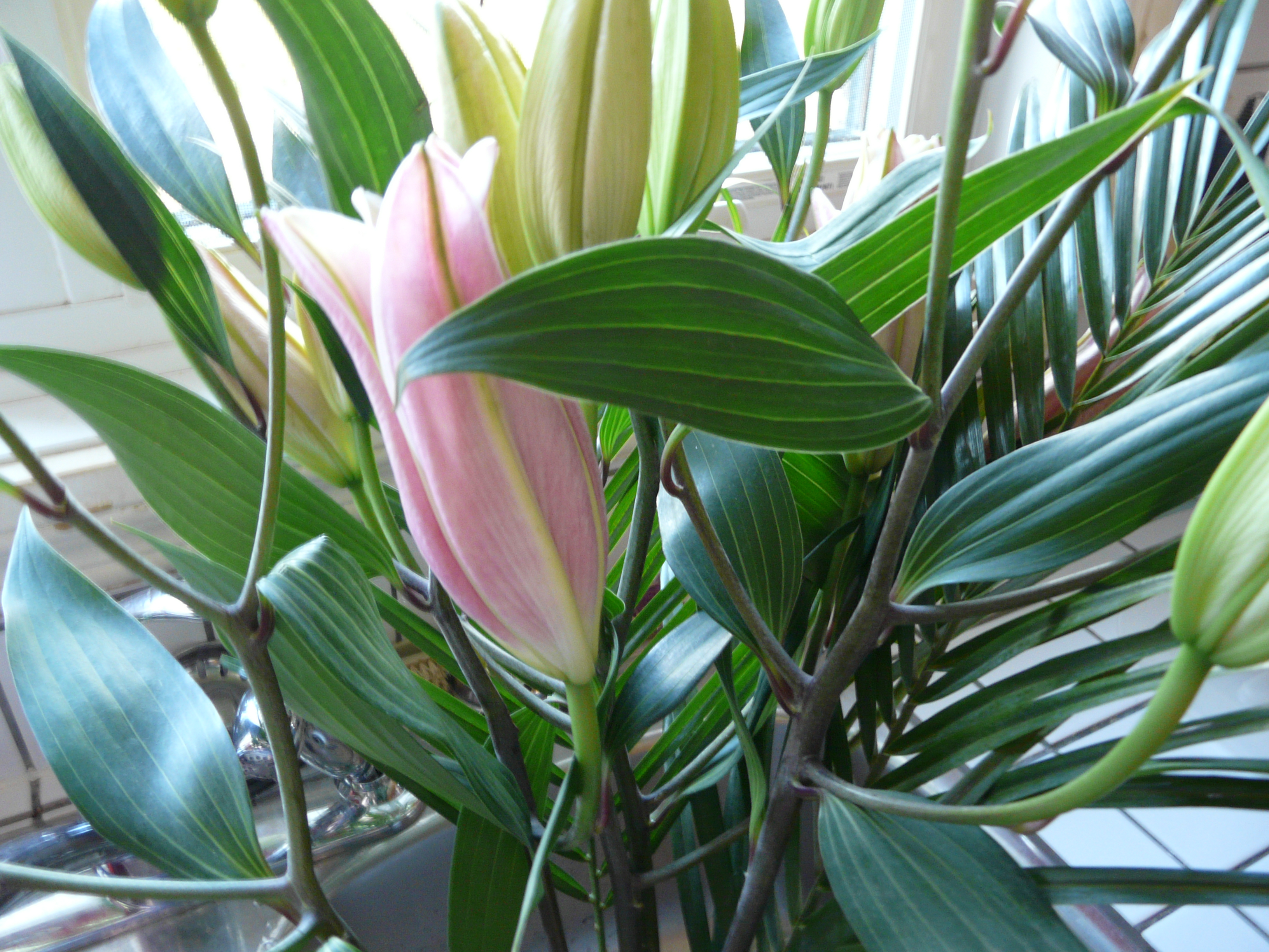 P1180971