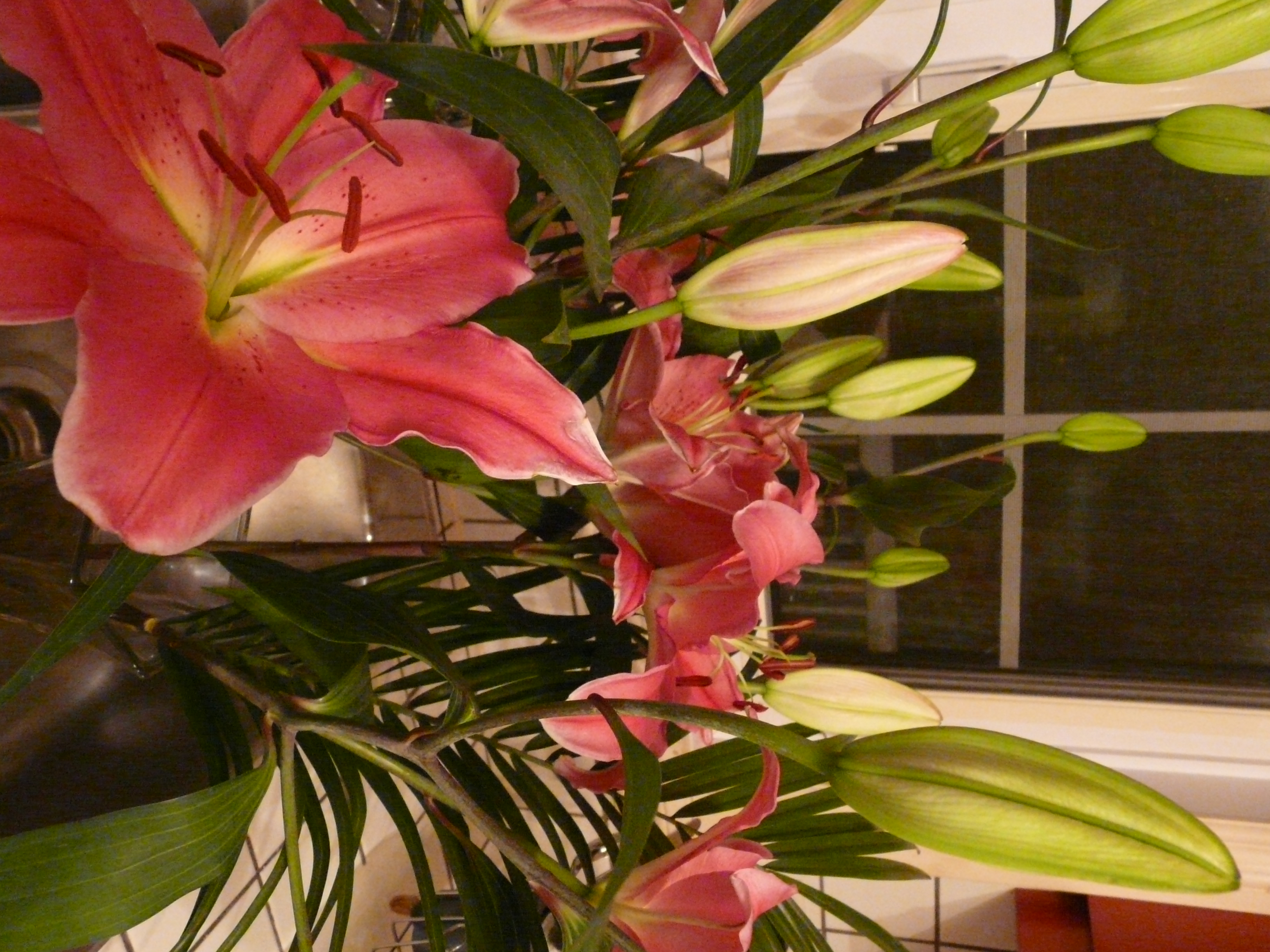 P1180997