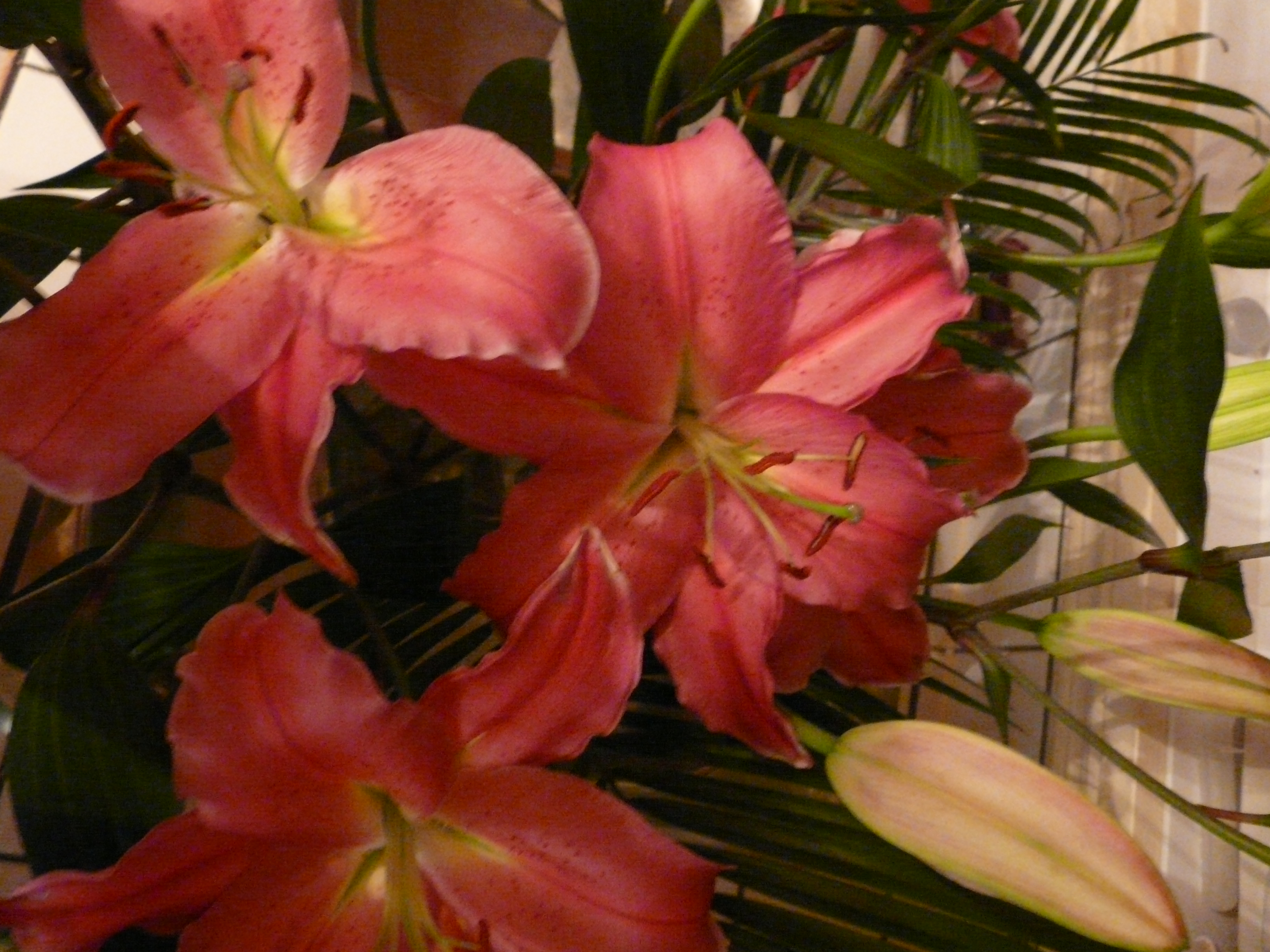 P1190020