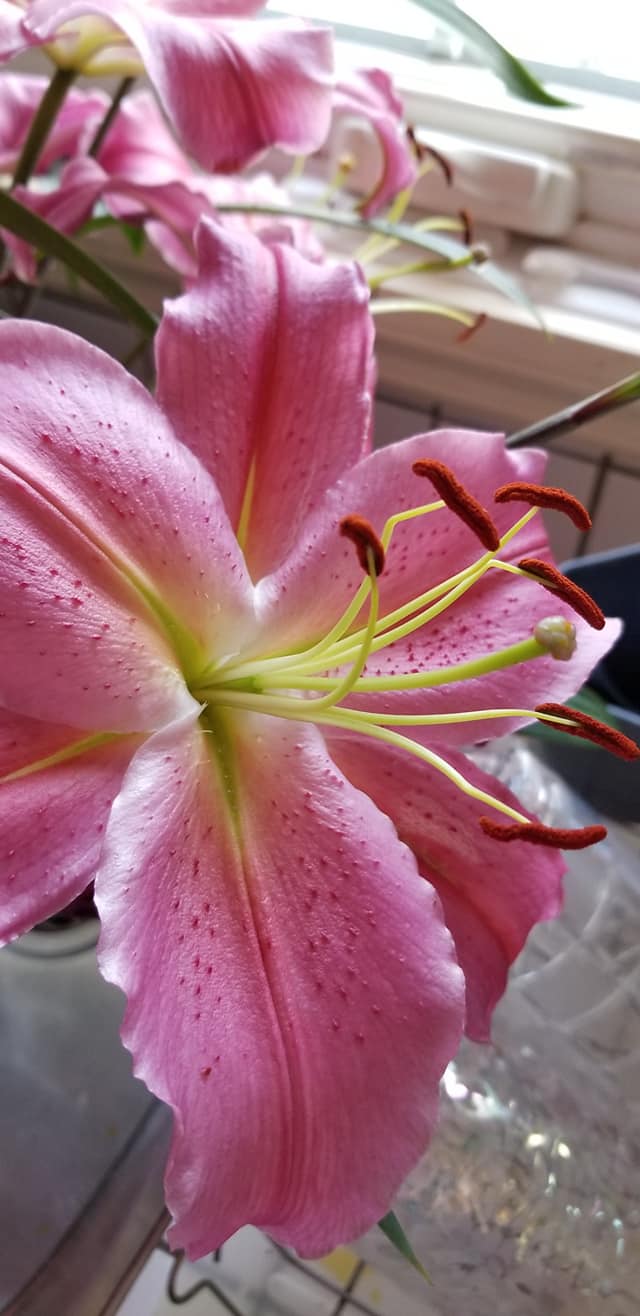 05