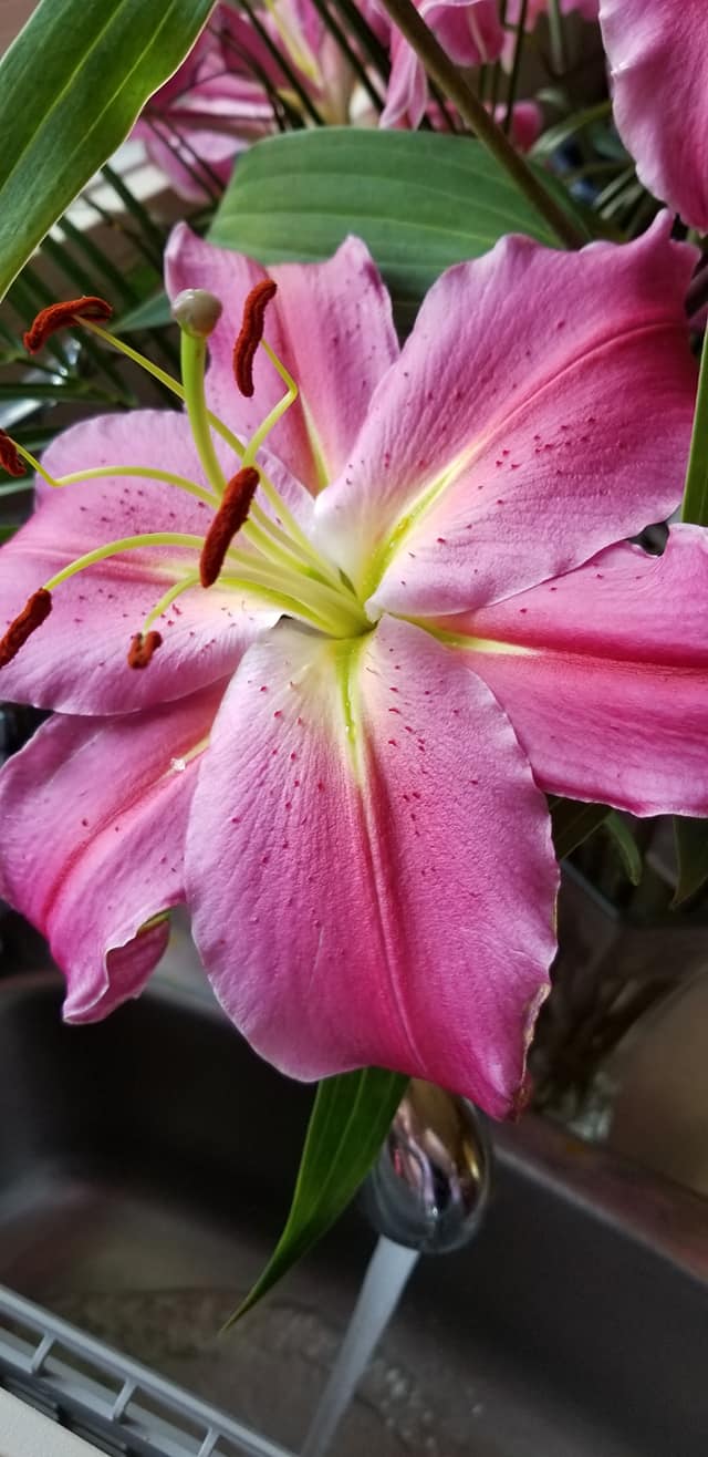 08