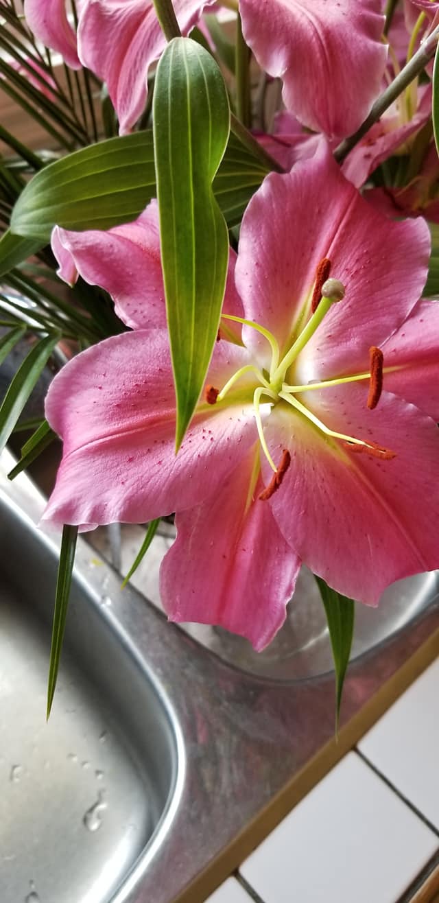 09